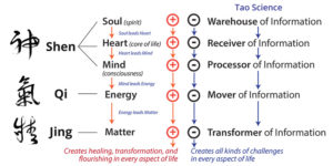 reiki healing tao hands